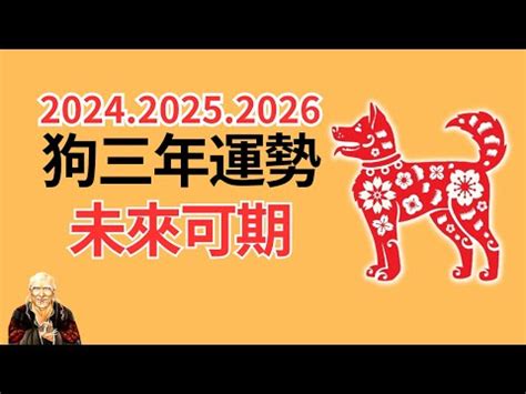 1982屬狗幸運數字|1982年属狗人永久吉利的数字及幸运特质